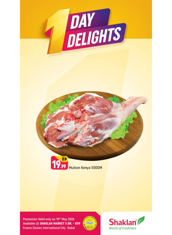 One Day Delights - R09, International City, France Cluster