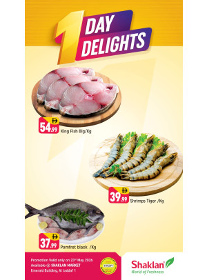 One Day Delights - Al Jaddaf 1, Dubai