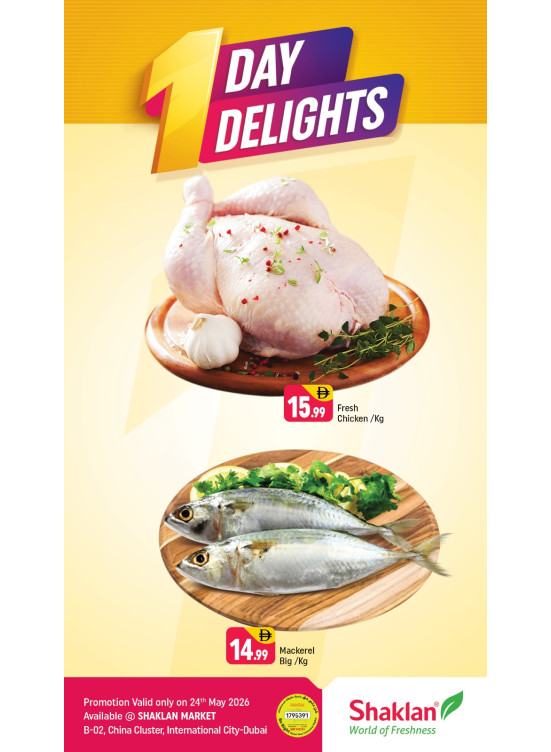 One Day Delights - B02 China Cluster, Dubai