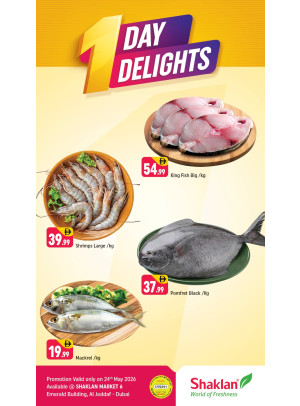 One Day Delights - Al Jaddaf 1, Dubai