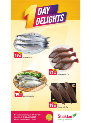 One Day Delights - Behind Abu Hail Centre