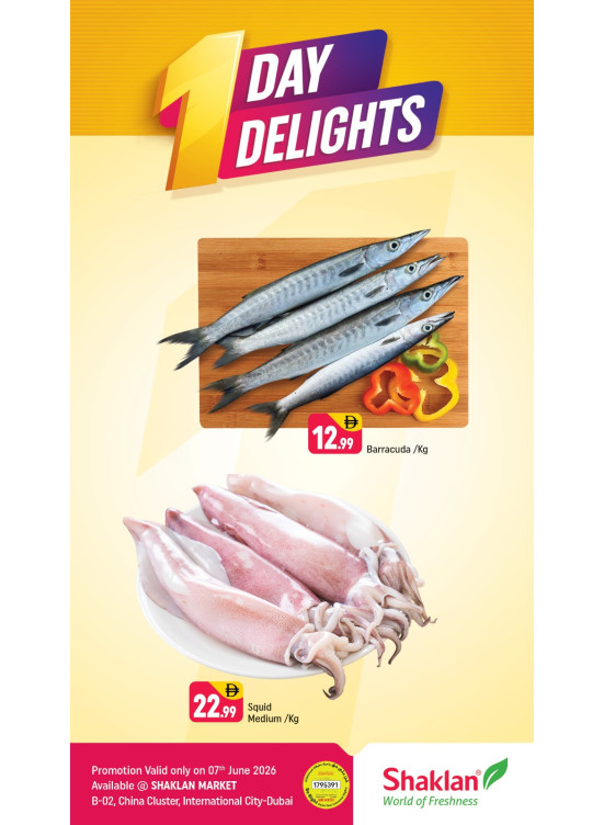 One Day Delights - B02 China Cluster, Dubai