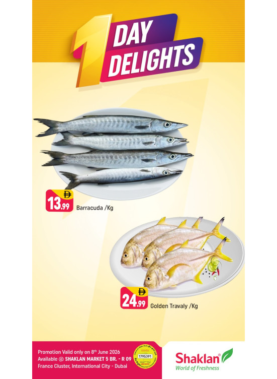 One Day Delights - R09, International City, France Cluster