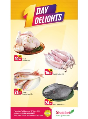 One Days Delight - B02 China Cluster, Dubai