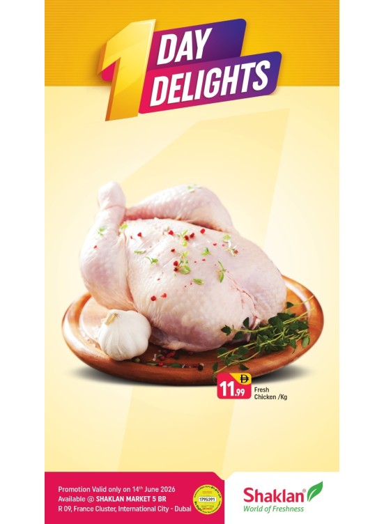 One Day Delights - R09, International City, France Cluster