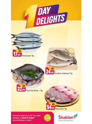 One Day Delights - Al Jaddaf 1, Dubai