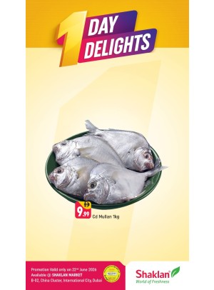 One Days Delight - B02 China Cluster, Dubai