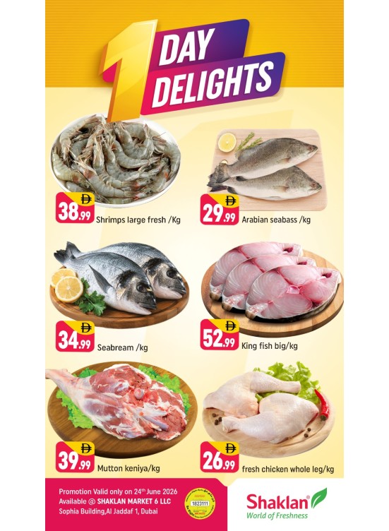 One Day Delights - Al Jaddaf 1, Dubai