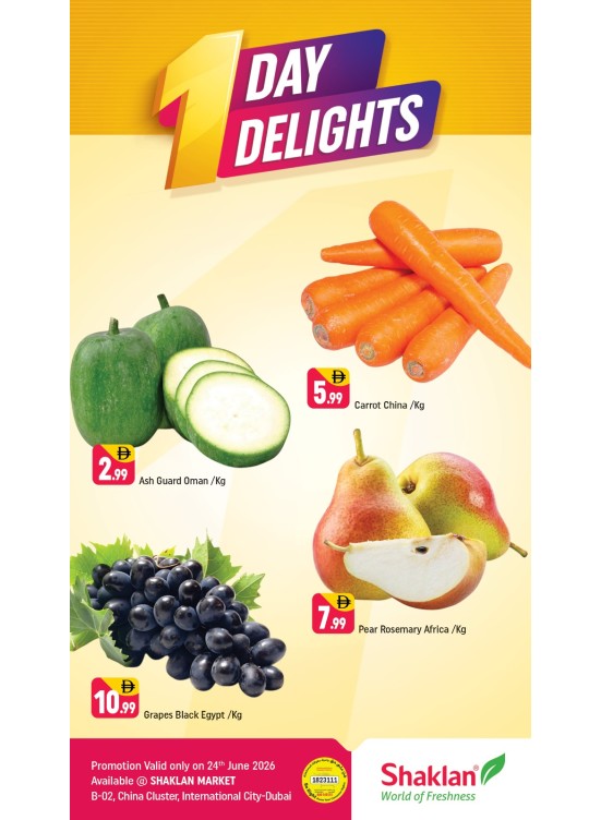 One Days Delight - B02 China Cluster, Dubai