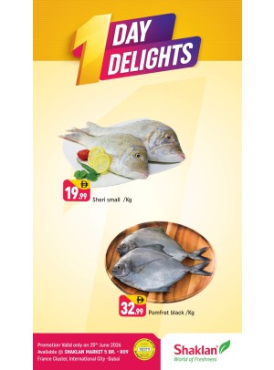 One Day Delights - R09, International City, France Cluster