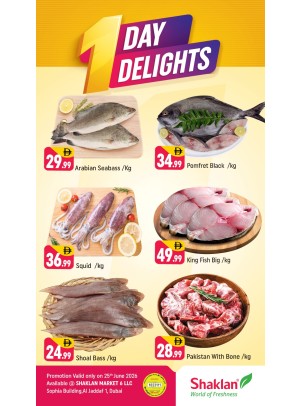 One Day Delights - Al Jaddaf 1, Dubai