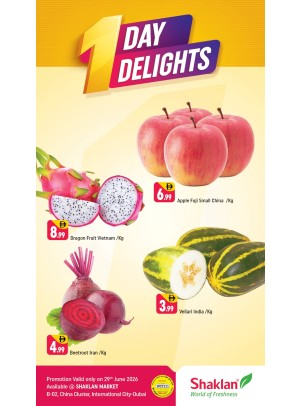 One Days Delight - B02 China Cluster, Dubai