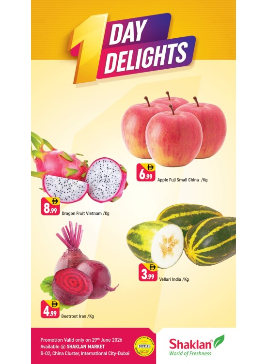One Days Delight - B02 China Cluster, Dubai