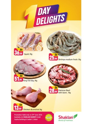 One Day Delights - Al Jaddaf 1, Dubai