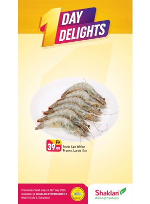 One Day Delights - Wadi Al Safa 5, Dubailand