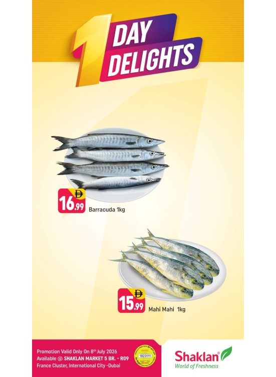 One Day Delights - R09, International City, France Cluster