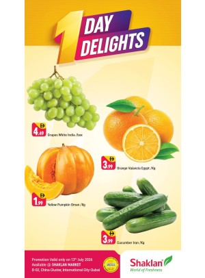 One Days Delight - B02 China Cluster, Dubai