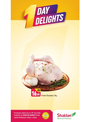 One Day Delights - Al Jaddaf 1, Dubai