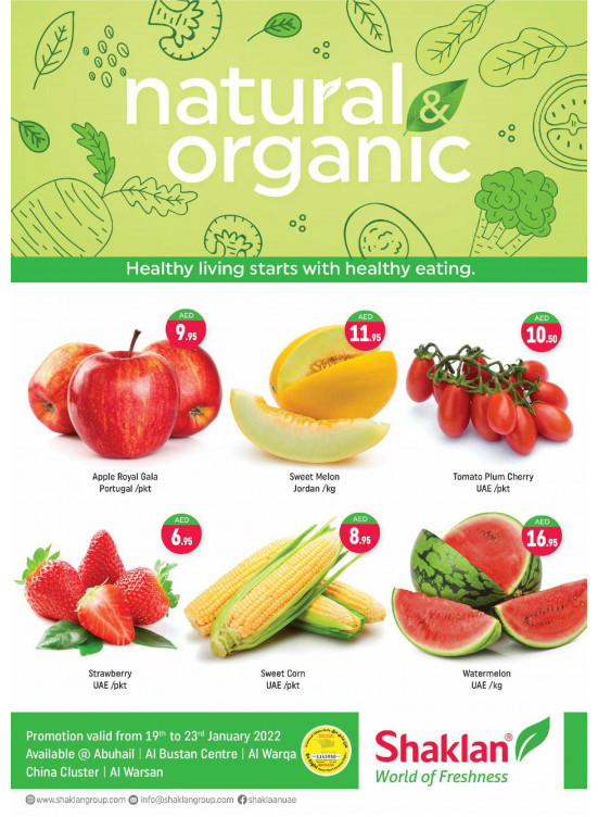 Fresh Deals - China Cluster, Dubai