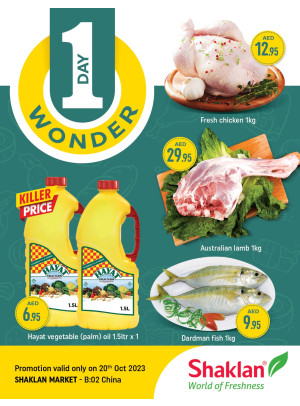 One Day Wonder - China Cluster, Dubai