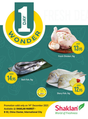One Day Wonder - China Cluster, Dubai