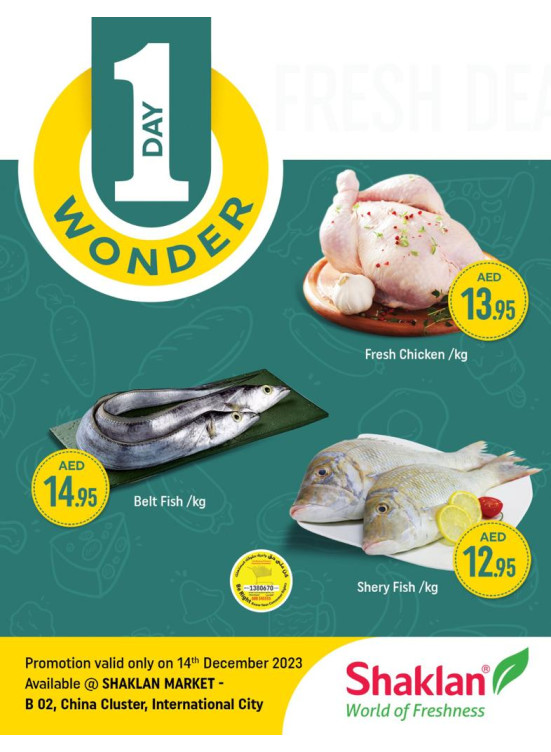 One Day Wonder - China Cluster, Dubai