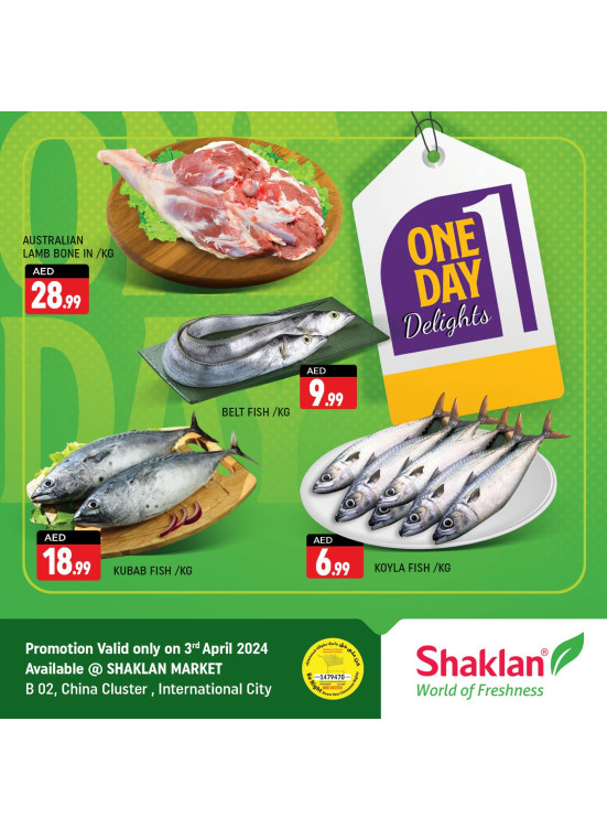 One Day Wonder - China Cluster, Dubai