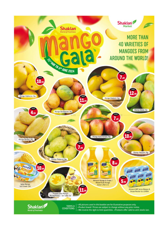 Mango Fest - Al Warqa 1