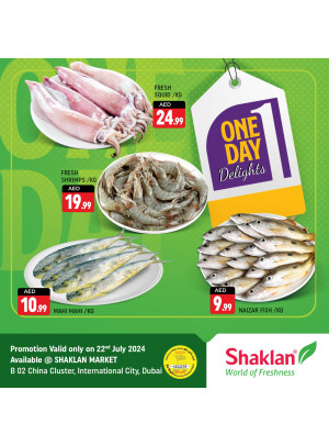 One Day Wonder - China Cluster, Dubai