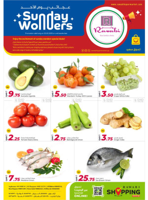 Sunday Wonders