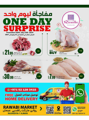 One Day Surprise- Al Rashidiya, Ajman