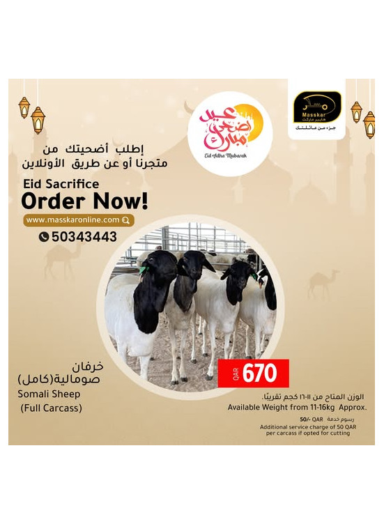 اطلب أضحية العيد آلان