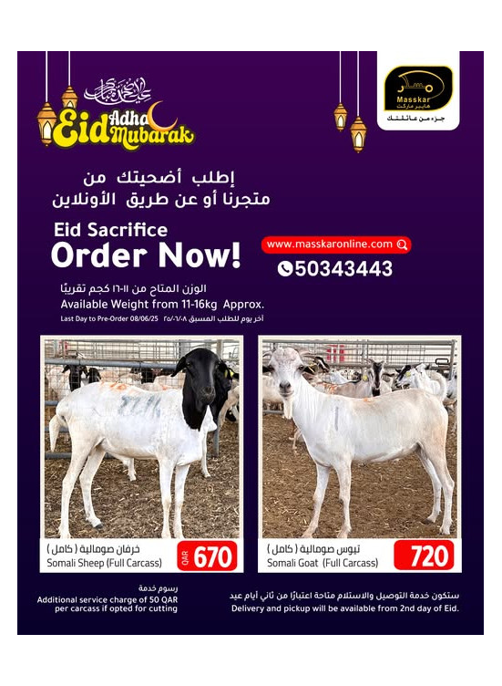 اطلب أضحية العيد آلان