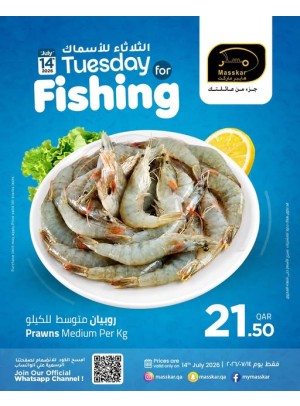 Tuesday for Fishing Deals