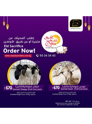 عروض أضاحي العيد