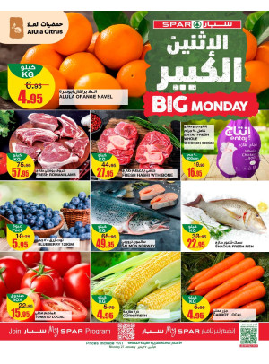 Big Monday Offers