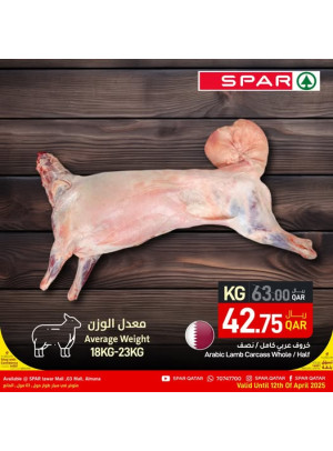 صفقات طازج -  طوار مول & 03 مول