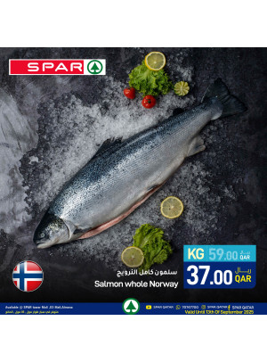 Fish Offer
