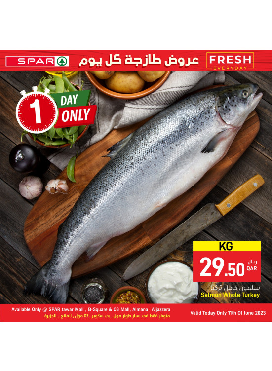 One Day Offer