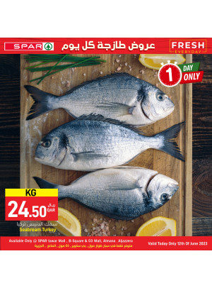 One Day Offer