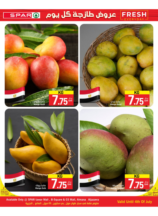 Fresh Everyday
