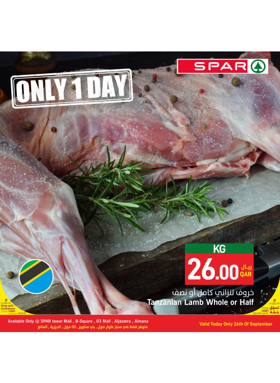 Only One Day Offer