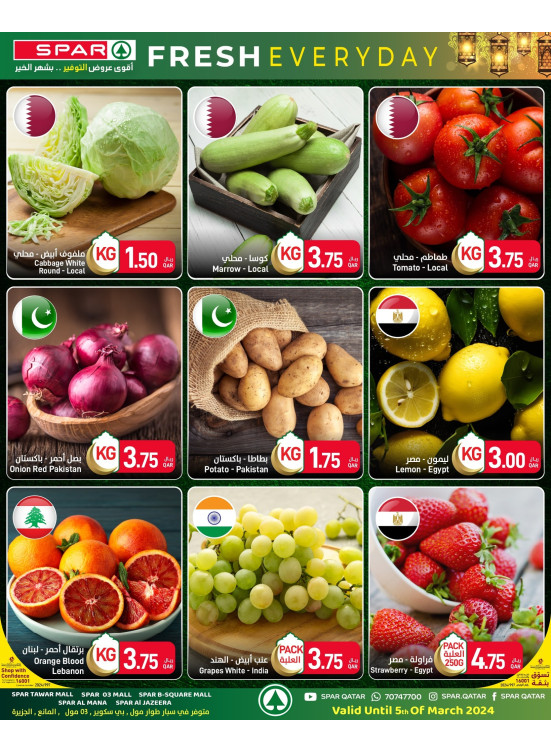 Fresh Saving Offers