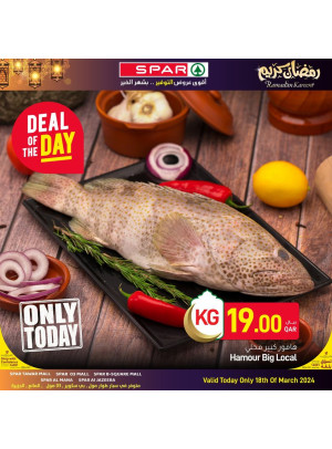 Deal of The Day