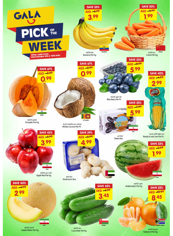 Pick of The Week - Dubai & Sharjah