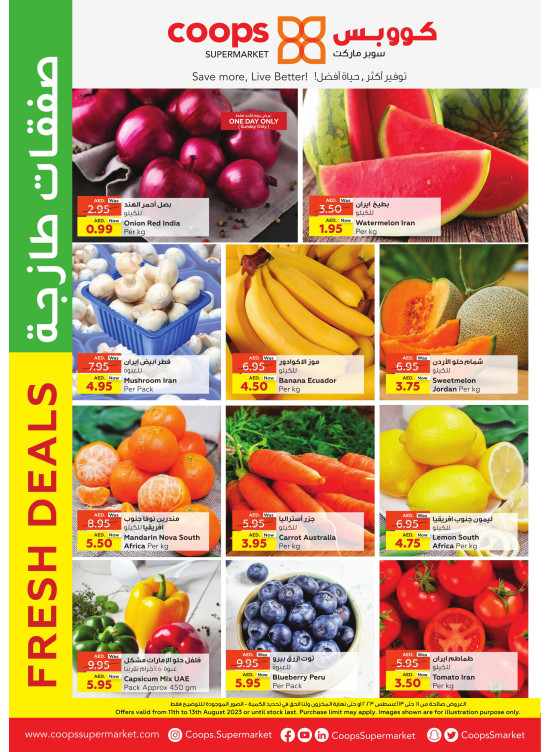 Fresh Deals