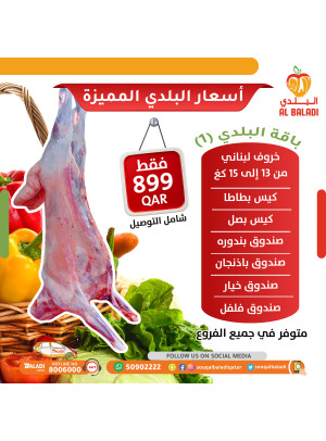 Special Offer