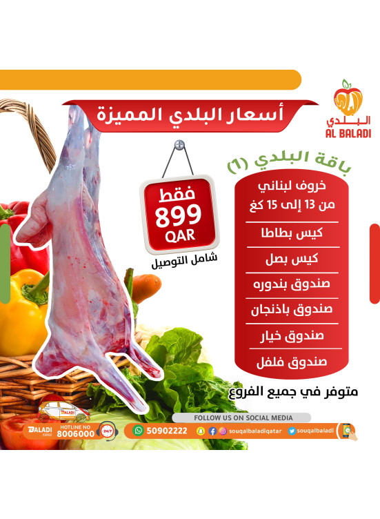 Special Offer