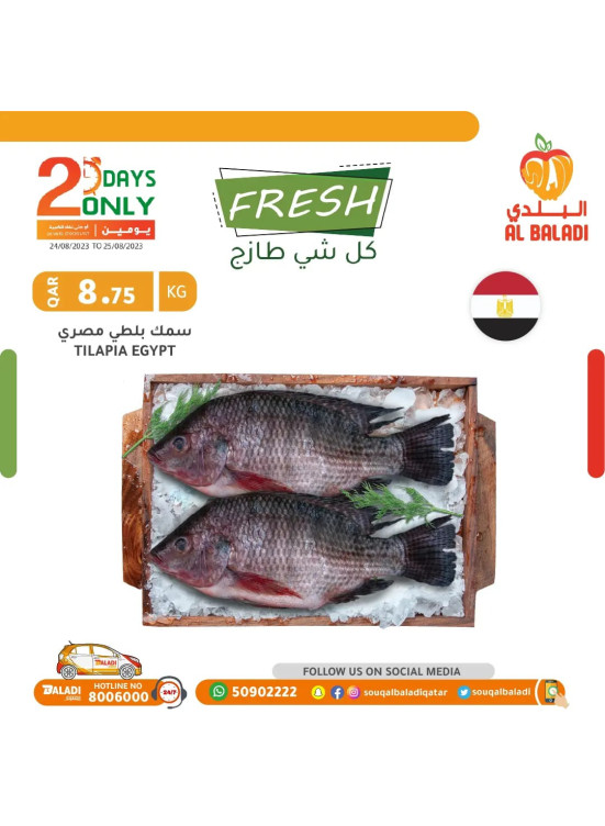 Special Prices on Fishery & Butchery