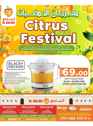 Citrus Festival